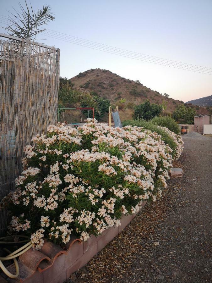 Kalamospito Holiday House Kalokhorio エクステリア 写真